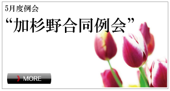 �T���x���&ldquo;�����썇�����&rdquo;
