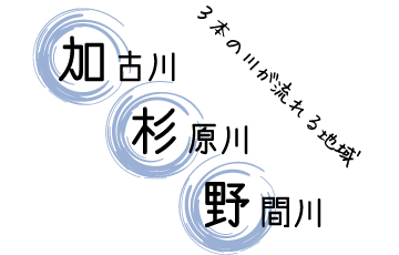 加杉野